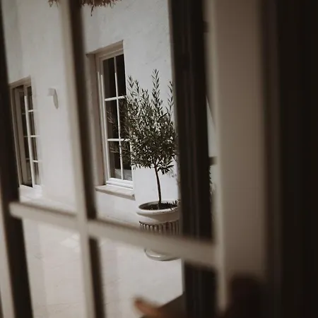 Eunoia 바마베체